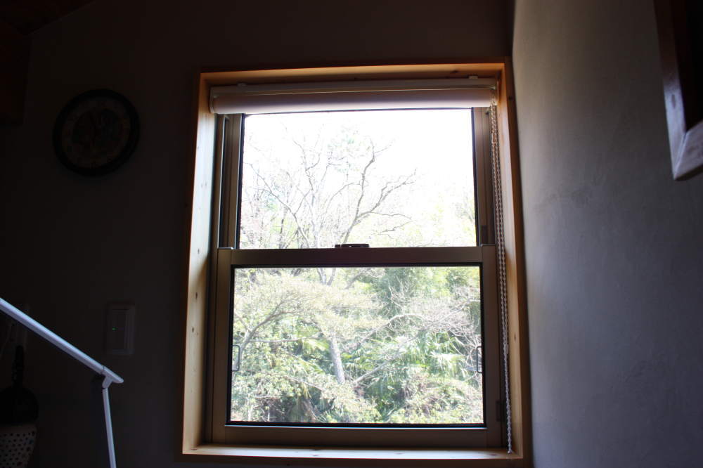 部屋の窓からも巣が確認できる