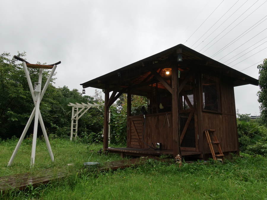 雨のカラス小屋