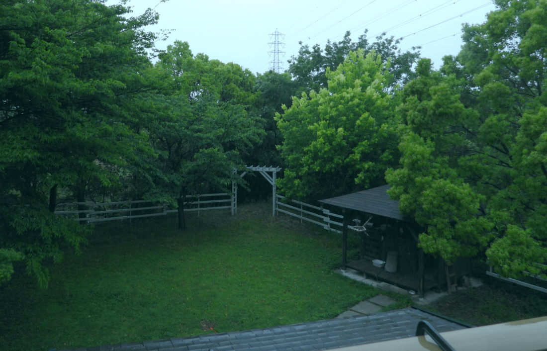 庭