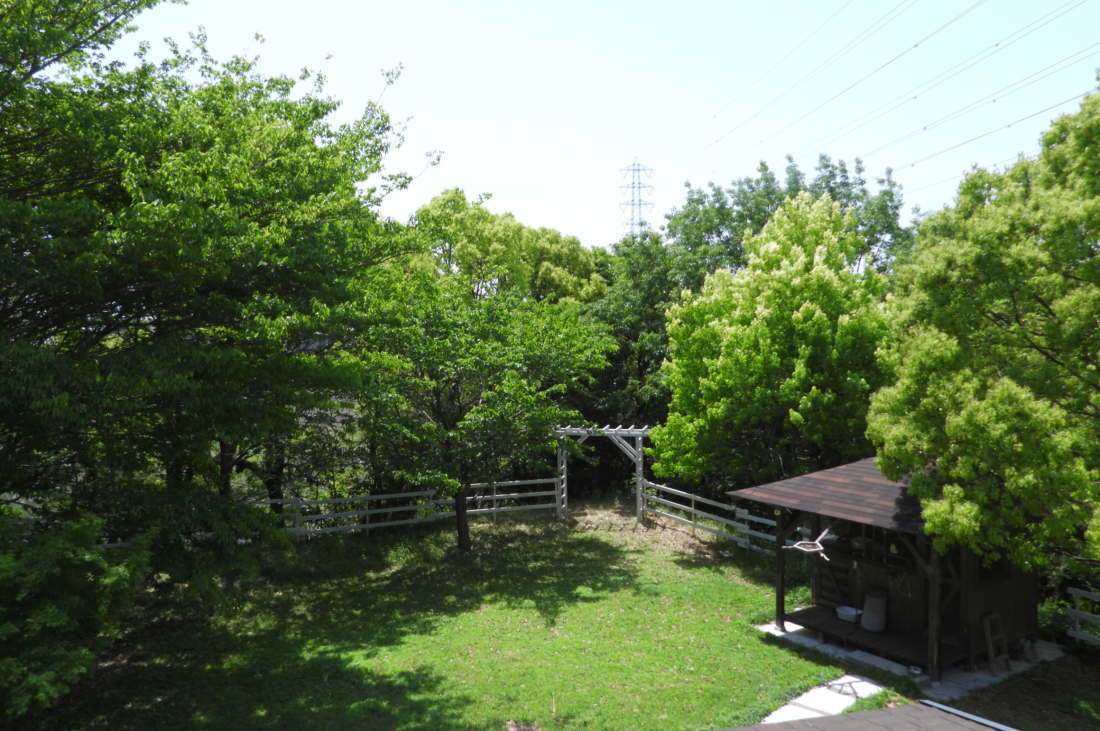 庭