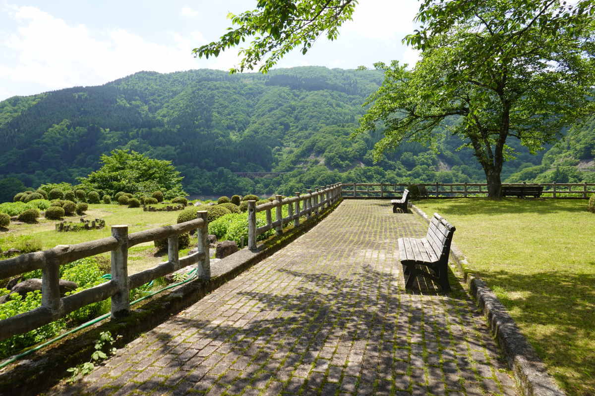 国道157号線