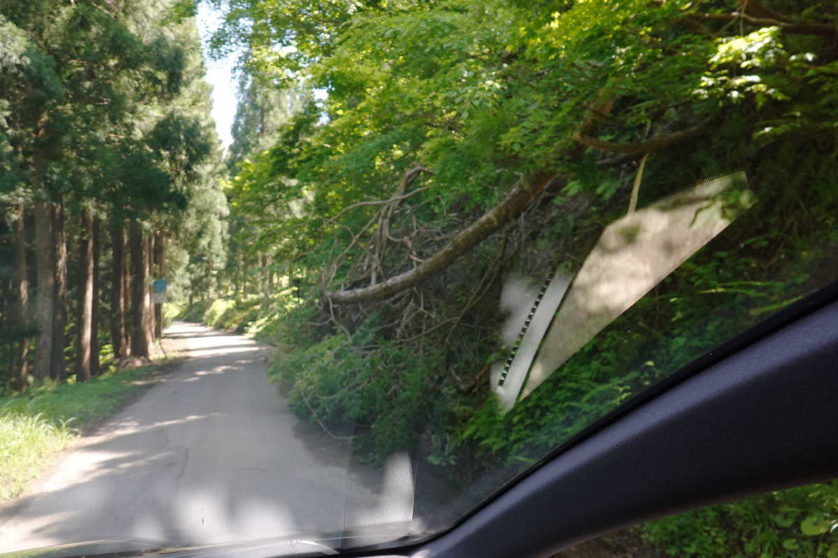 国道157号線
