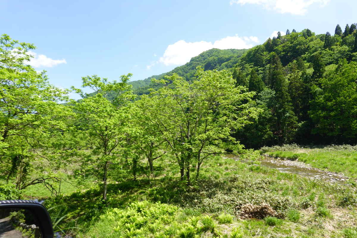 国道157号線