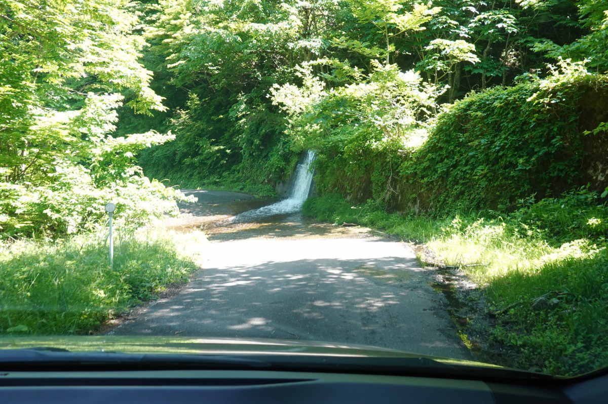 国道157号線