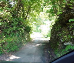 国道157号線